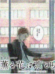 云栈商盟势力标本卡封面图